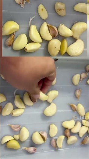 Garlic Clove Color Sorter Machine | Remove Unpeeled, Defective & Wrinkled Garlic