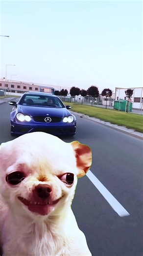 Understanding Aggressive Driving Styles: A Psychological Insight