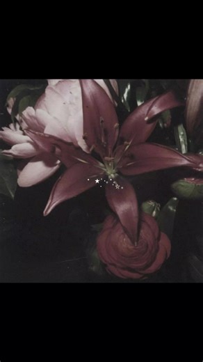 ꕤ🌷ꕤ #fyp #viral #explore #pinterest #art #calm #pink #aesthetic #foryou #foryoupage #fypage