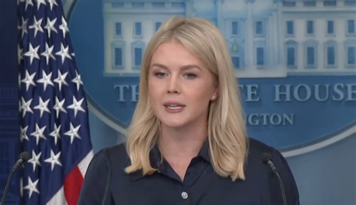 'He got the most juice out of that squeeze': Karoline Leavitt proudly flaunts Trump's chaotic trade policies during press briefing
