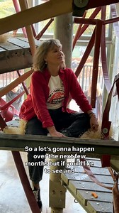 Monkey Life Series 18 starts tomorrow at 5pm on Sky Nature! Alison is at the nursery supervising Sibu and Kiwi exploring the “grown-ups” playroom, as they get ready for their next phase- meeting others! Who will be tuning in to see the young orangutans start at the park?#animalrescue #monkeyworld #primates #monkeylife | Monkey World - Ape Rescue Centre, Official Facebook Page