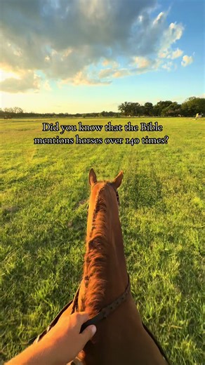 The Role of Horses in Biblical Warfare