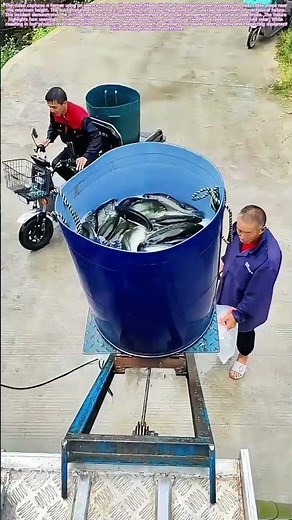 Mechanical Failure: When a Hoist Accident Reveals Farming's Vulnerabilities