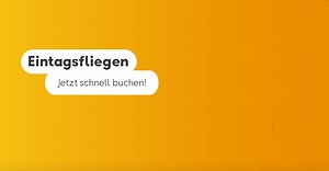 27K views · 18 reactions | **Es ist wieder soweit: Buche jetzt schnell bis Sonntag unsere super Angebote!✈️ ** | Condor Airlines | Facebook