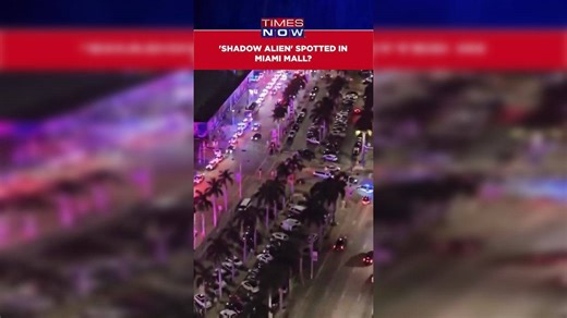 Watch: 10-Foot Shadow Alien Spotted Outside A Mall In Miami, Police Storms Street
