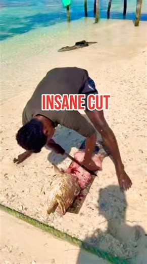 INSANE Beach Fish Cutting🔥🐟