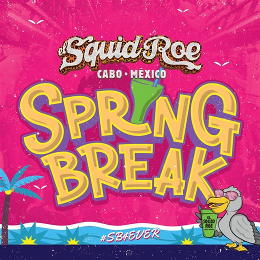 El Squid Roe | Cabo San Lucas