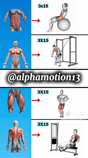 Hit All Major Muscles in One Workout – Abs, Chest, Legs & Back! 💥 Train smarter with this full-body workout 🔥 We’re targeting core, chest, legs, and back with 4 powerful exercises (3×15 each). Whether you’re at the gym or at home, this routine builds strength and definition fast. Save this if you're serious about results 💪 Tag a friend who skips leg day 😅 #FullBodyWorkout #AbsWorkout #ChestDay #LegWorkout #BackTraining #MuscleActivation #FitnessMotivation #StrengthTraining #WorkoutTips #NoEx