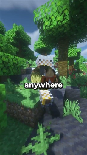 This Minecraft Server made a Mistake...