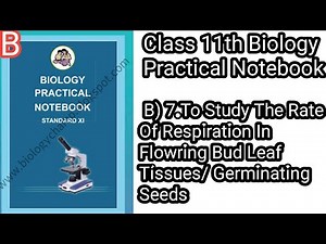 Class 11th Biology Practical Notebook|| B) 7.To Study The Rate Of Respiration In Flowring Bud Leaf