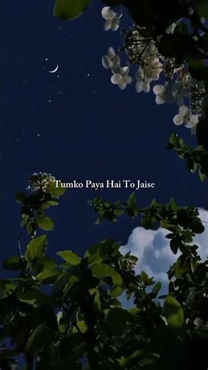 Tumko Paya Hai To Jaise Khoya Hoon 🫠❤️ | Main Agar Kahoon | Lyrics Nature Shorts 🌿 | #viral #lyrics