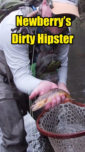 4.7K views · 263 reactions | This is a fun attractor pattern that...