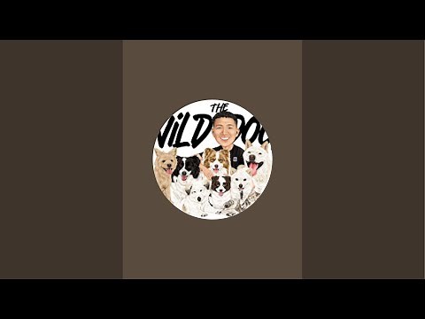 Life of Vincent 🇵🇭 is live!