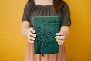 Tree of Life Family Bible (TLV)