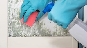 Professional Mould Control Products - Moisture Cure