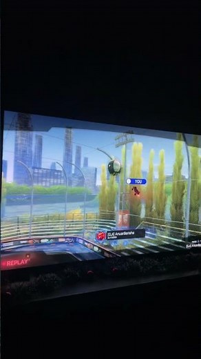 Does this count as a flip reset musty?