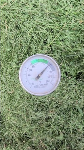 140 Degrees In The Compost Pile!