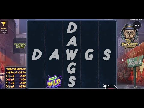 Online Slots with The Bandit!