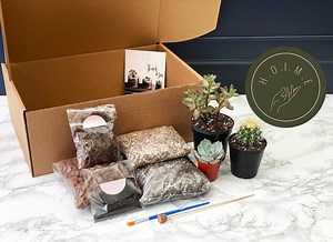 DIY Terrarium Kit | Plants & Container Optional - Etsy UK
