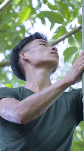 Bamboo Tree Shelter – Solo Bushcraft Survival #short