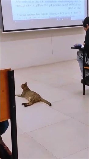 Amazing Manufacturing Process 😍🔥 | Satisfying Factory Work #studywithmeandmycat