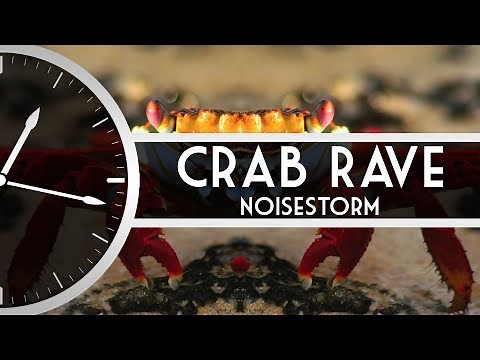 Noisestorm - Crab Rave ⌛ 1 HOUR Seamless Loop