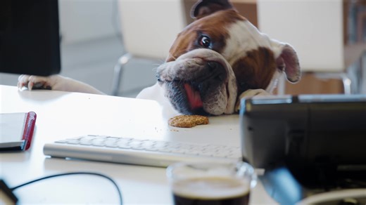 Find The Best #ElectricityRate In #Texas With #TexasElectricityRatings Compare, Shop and Save On Your #ElectricBill #texaselectricity #txelectricity#powertochoose #electricitycomparison #electricityprices #electricityprovider #comparepower #electricitysavings