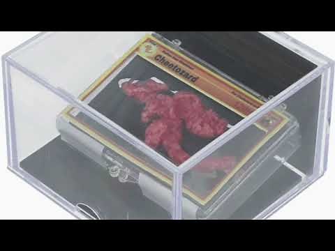 Pokemon-shaped Cheeto, Cheetozard, sells at auction for $87,840