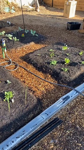 40K views · 145 reactions | Overly complex watering system #howto #gardening #garden #plants | The Gardening Guru | Facebook