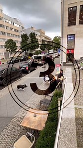 111K views · 2.1K reactions | Parkour Challenge | Man Vs. Dog  | Storror | Facebook