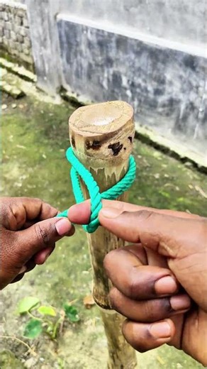 The one you'll never forget, the world's most underrated knot