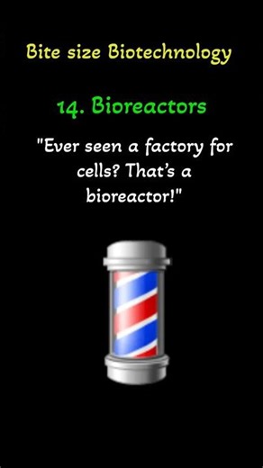 Bioreactors: Cell Factories Explained