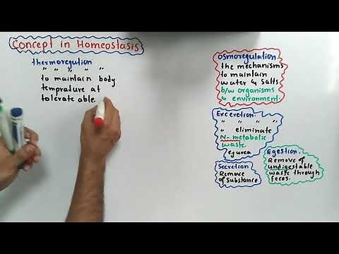 Introduction Of Homeostasis| Class 12 Biology