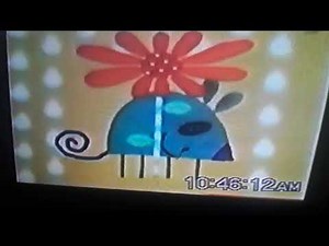 noggin critter corner the ferrets