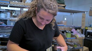 Rapid Development Integration Facility