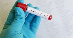MG inaugura fábrica de mosquito modificado para combater dengue; conheça o método Wolbachia
