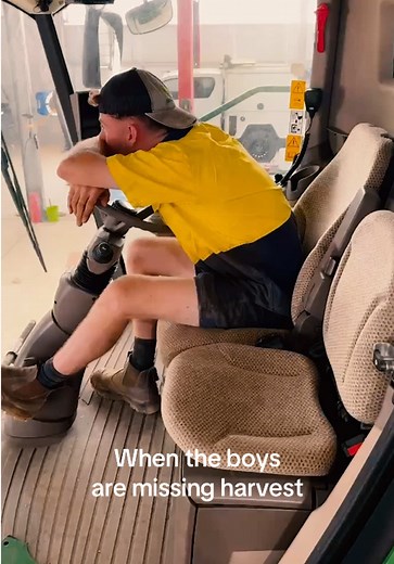 Boys Missing During Harvest Season