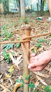 Super Strong Knot Everyone Should Know!