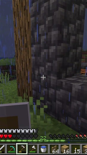 playing with the anomaly in Minecraft