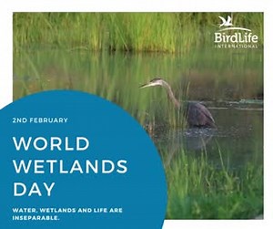 Today we celebrate #WorldWetlandsDay to raise global awareness about the high importance of wetlands for people and our planet 💙🌎 📢 We are facing a fresh water crisis! Water and #wetlands are connected in an inseparable co-existence that is vital to all life in the planet! | BirdLife International