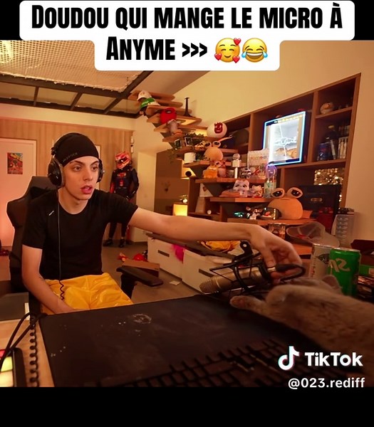 Il est trop mignon 🥹🥰 #anyme #drole #chat #fyp @Anyme023