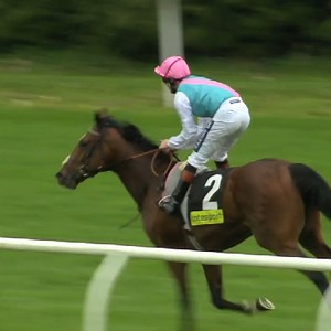 Road to 2000 Guineas Stakes success – FRANKEL 🩷💚 Frankel stands alone as the only horse to win the Watership Down Stud Too Darn Hot Greenham Stakes and triumph – just two weeks later – in the 2000 Guineas since the turn of the century 🏆 This year, a full three-week break returns between the Dubai Duty Free Spring Trials and the 2000 Guineas Stakes – meaning more horses to keep your eye on for consecutive success 👀 | Newbury Racecourse