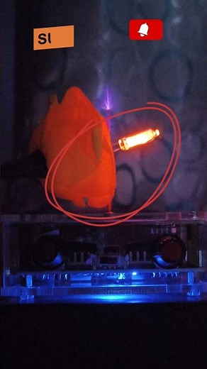 Live Rose vs Tesla Coil 🌹⚡ Unbelievable Reaction! | High Voltage Experiment #shorts