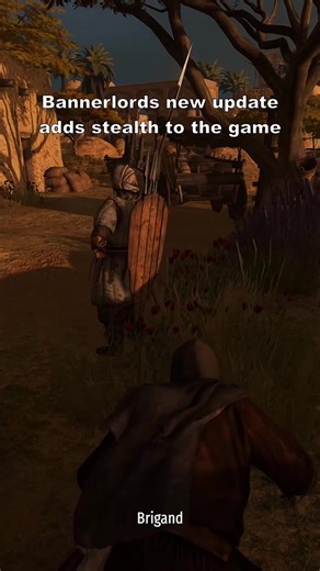 Bannerlords new update added stealth 😳 #mountandblade #bannerlord #mountandbladebannerlord #gaming #fyp