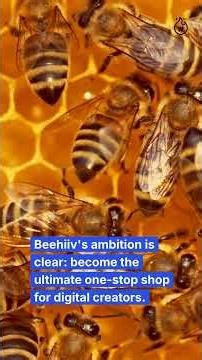 Beehiiv's New Tools: A Game-Changer for Creators 🚀