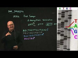 Sanger sequencing