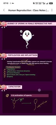 biology notes ch-2 class 12th (human reproduction) CBSE board 2026