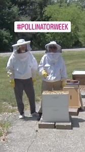 Milwaukee County Zoo on Reels