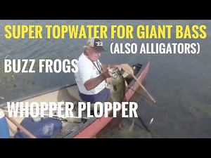 Huge Topwater Bass on Whopper Plopper and Buzz Frogs
