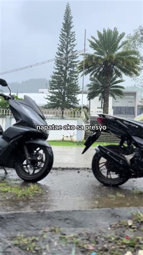 Effective Whitening Toothpaste Options